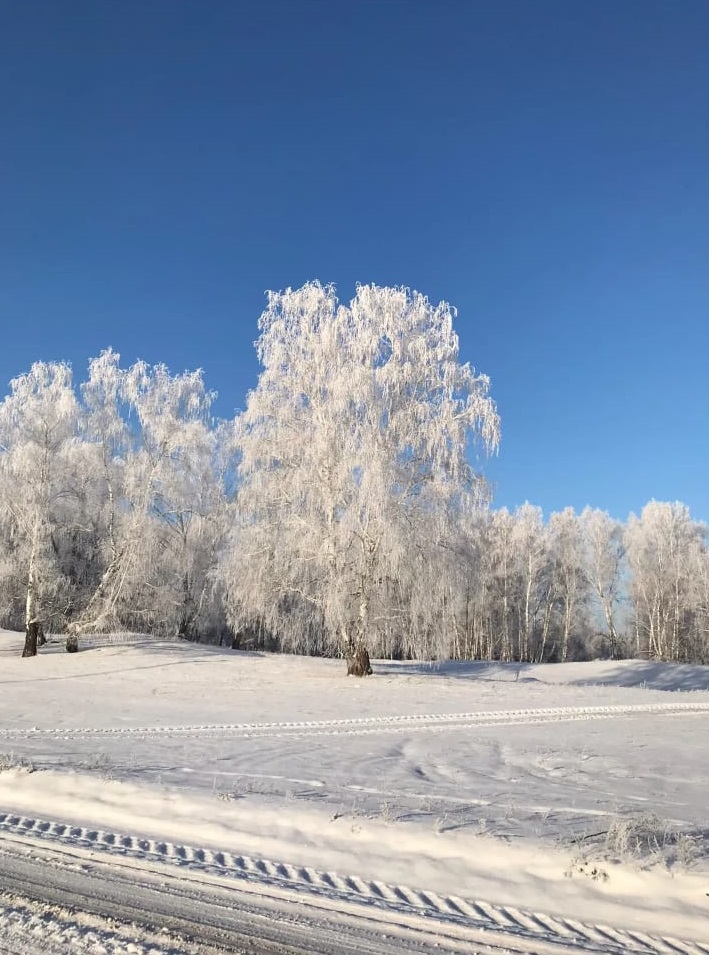 Зимняя дорога.